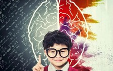 Nghiên cứu Harvard cho thấy: Trước 10 tuổi, trẻ có 3 cơ hội trở nên thông minh hơn nhưng phần lớn cha mẹ lại bỏ lỡ