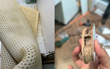 7 "sát thủ giấu mặt" trong nhà: Âm thầm gieo bệnh tật và bào mòn sức khỏe mỗi ngày