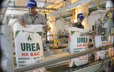 'Quả đấm thép' một thời ngành phân bón có quý thứ 3 lãi trên trăm tỷ, lỗ luỹ kế vẫn hơn 1.000 tỷ