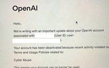 Chuyên gia bảo mật bị OpenAI khóa tài khoản "oan" chỉ vì làm việc này