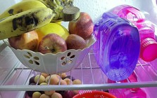 5 thực phẩm vứt bừa ở góc nhà còn tốt hơn cho vào tủ lạnh vì càng nhanh hỏng, sinh “mầm bệnh”