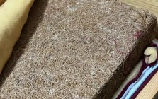 5 thứ trong nhà dễ là ổ phát tán Formaldehyde, hít mỗi ngày mà cứ tưởng vô hại