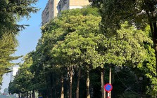 Hà Nội ngày nắng, đêm không mưa