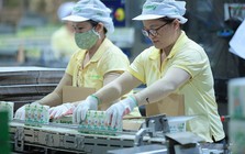 Chủ hãng sữa Fami lãi ròng gần 450 tỷ đồng trong quý III/2026, biên lợi nhuận gộp cải thiện