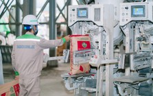 Sông Đà Cao Cường chào bán 6 triệu cổ phiếu