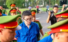 Luật sư đề nghị đưa Mr Pips đi giám định tâm thần