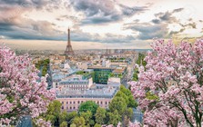 Vì sao Paris có tên là Paris?
