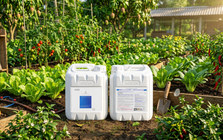 Agrizen Việt Nam phát triển phân phối phân bón phục vụ nhà nông