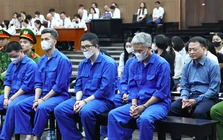 Tan cửa nát nhà vì lời trấn an ‘của Shark Bình đó, yên tâm mà nạp’