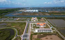 Lý do khu công nghệ cao phát triển tôm Bạc Liêu 'lụt' 9 năm