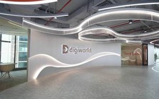 Lợi nhuận 9 tháng đầu năm tăng gấp đôi, cổ phiếu Digiworld giảm sàn: Điều gì đang xảy ra?