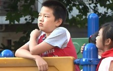 Kiểu trẻ nào sẽ bị bỏ lại trong thời kì trí tuệ nhân tạo? Chuyên gia nói: Nhìn con bò sẽ biết câu trả lời!