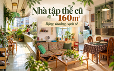Bỏ căn hộ 50m² để chuyển vào nhà tập thể cũ 160m², ở một thời gian chủ nhà phải thốt lên: Như này mới là đáng sống!