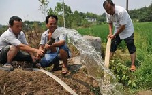 Khoan giếng sâu 30m để lấy nước rửa sân bãi, 1 công ty logistics bị cơ quan chức năng phạt hơn 193 triệu đồng