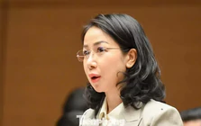 Trải thảm đỏ đón 'đại bàng', tạo điều kiện để hàng triệu 'chim sẻ' lớn mạnh