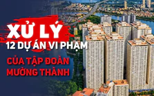 Xử lý 12 dự án vi phạm của Tập đoàn Mường Thành: Chủ đầu tư phải nộp và chi trả những khoản nào?
