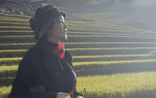 Nơi nào ở Việt Nam được Hoa hậu Đền Hùng Giáng My ví "đẹp như một giấc mơ vừa thức"?