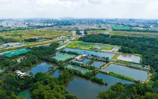 TPHCM xem xét đưa 147 khu đất thí điểm làm nhà ở thương mại