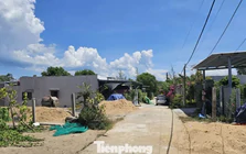 Đắk Lắk lập đoàn kiểm tra vụ xây cả 'khu dân cư' trái phép trên đất rừng trồng