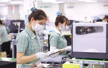 Xuất nhập khẩu Việt Nam lần đầu vượt 1.000 tỷ USD