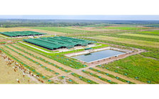 Vì sao Thaco Agri bị xử phạt?
