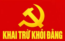 Nguyên Phó trưởng Phòng TN&MT ở Quảng Ngãi bị khai trừ khỏi Đảng