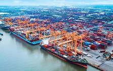 17 dự án trọng điểm tại Hải Phòng được áp dụng ‘luồng xanh’