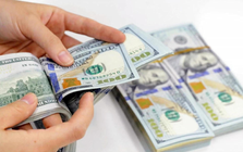 Cho bạn vay 105.000 USD, hơn 10 năm sau ra tòa: Vì sao giao dịch bị tuyên vô hiệu?