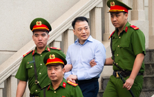 Shark Bình: “Bị cáo chưa từng gặp người bên phía Phó Đức Nam, nghe báo đài mới biết Mr Pips”