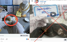 "Khui ngọc trai" trúng tiền tỷ: Công an vạch trần 3 bước lừa đảo