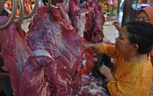 Vì sao thịt trâu Ấn Độ có giá siêu rẻ?