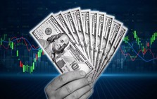 Cổ phiếu vừa trải qua cú rơi tồi tệ nhất lịch sử, một công ty công nghệ đánh mất 13 triệu tỷ chỉ trong 1 phiên