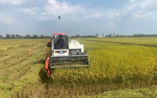 Láng giềng của Mỹ hỗ trợ Việt Nam phát triển "hạt ngọc", hơn 48.000 người sẽ được hưởng lợi trực tiếp