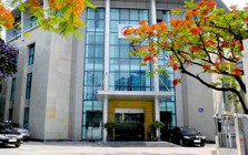 Tổng giám đốc Trịnh Văn Tuệ vừa bị khởi tố, doanh nghiệp thông báo khẩn