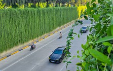 Bắc Bộ ngày nắng, có mưa vài nơi