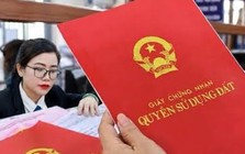 Thu hồi sổ đỏ do cấp sai đối tượng, căn cứ nào để cấp lại?