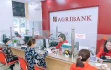 Lãi suất ngày 31/10 tại Agribank, Vietcombank, BIDV, VietinBank, MB, VPBank, Techcombank, Sacombank, HDBank,...
