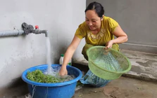 Lời khuyên cho tất cả các gia đình đang ngâm rau quả trong nước muối thay vì rửa kỹ dưới vòi nước