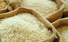 Giá gạo xuất khẩu Ấn Độ lên cao nhất hơn một năm