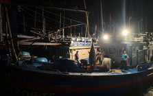 Bắt được "quái ngư" 310 kg ngoài khơi Việt Nam: Kích thước lớn đến mức phải dùng thiết bị chuyên dụng