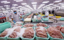 VASEP: Cùng một loại tôm, cá, mực nhưng có nơi miễn thuế, có nơi áp dụng thuế 8% hoặc 10%