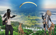 "Hướng dẫn viên" ở Đà Lạt được du khách lập hẳn địa danh riêng trên Google Maps dù chưa từng nhận một đồng lương
