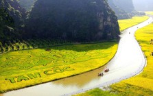 Ninh Bình tăng trưởng 11,31%, quyết tâm giữ nhịp 'hai con số' cả năm