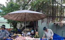 Thịt đông lạnh nhập khẩu: Mua càng nhiều, giá càng rẻ