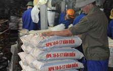 Phân lân Văn Điển bổ nhiệm một Phó Tổng Giám đốc