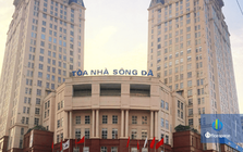 Tổng Công ty Sông Đà chốt ngày chia cổ tức tiền mặt tỷ lệ 12%