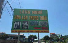 Lan đột biến từng giao dịch 1 tỷ đồng/cm nay chỉ mang treo bờ rào