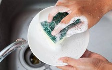 Lời khuyên cho những gia đình đang dùng miếng bọt biển rửa bát