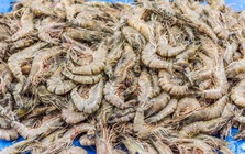 Một ngư dân già chia sẻ mẹo mua tôm: "Tôi không bao giờ cho người thân ăn 5 loại tôm này!"