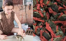 Nữ tiếp viên hàng không bỏ nghề sau 12 năm, về quê bán cua, có ngày kiếm gần 400 triệu đồng